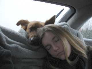 Rart at sove i bilen!