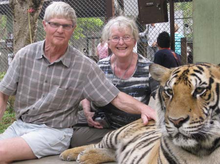 Besøg i tigerpark